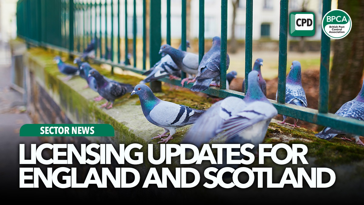 bird-licensing-updates-2025-hero bird-licensing-updates-2025-hero